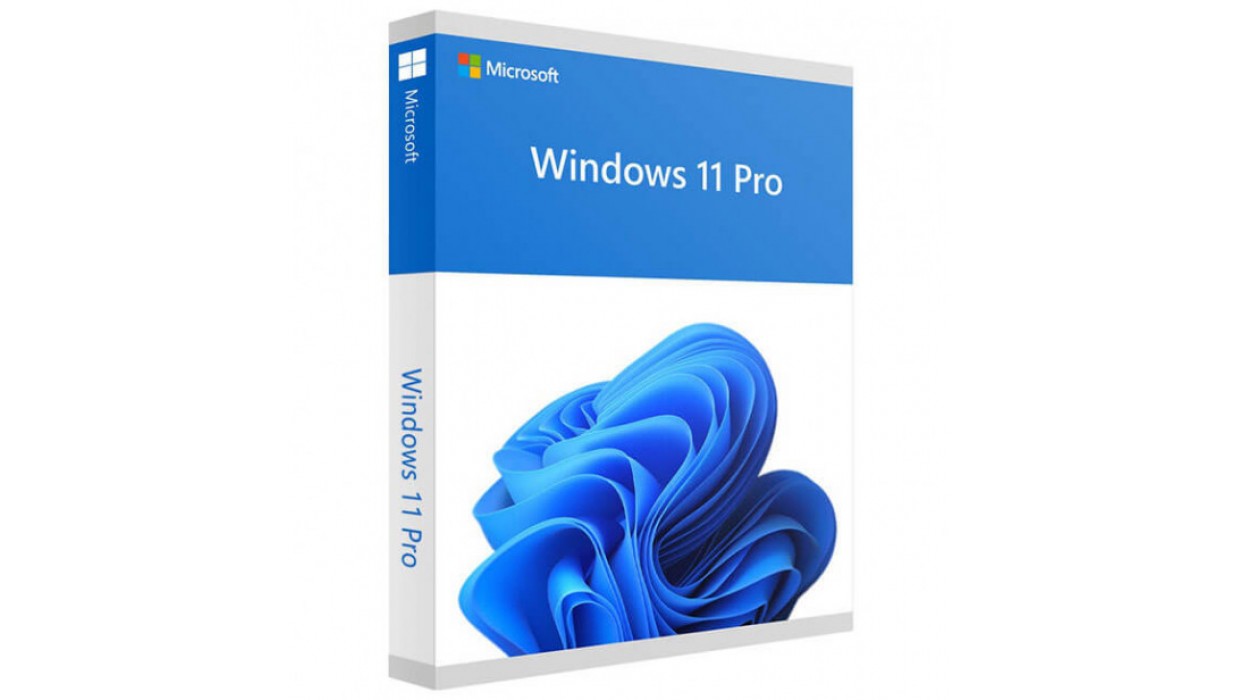 Window 11 Pro 64 bit